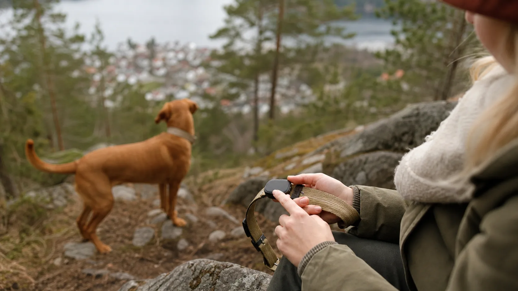 GPS Tracker im echten Tieralltag