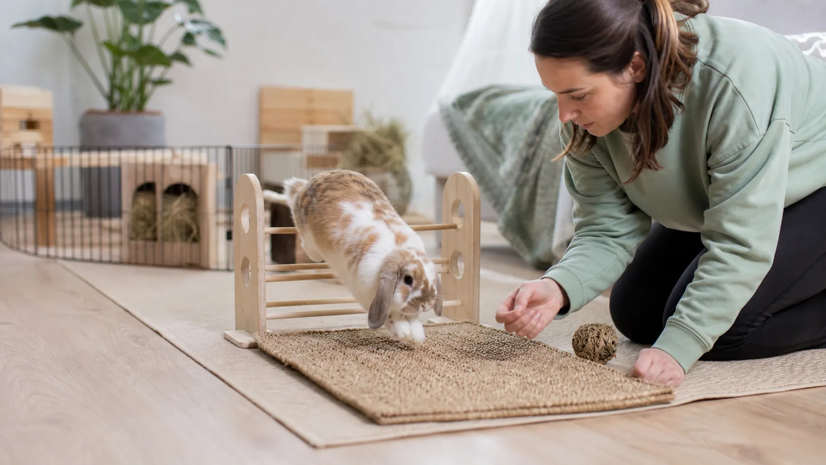 Beschäftigung für Kleintiere im passenden Tieralltag